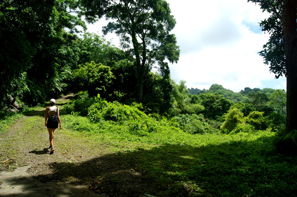 A woman in running gear with a black backpack walking up a steep road with thick jungle in the background