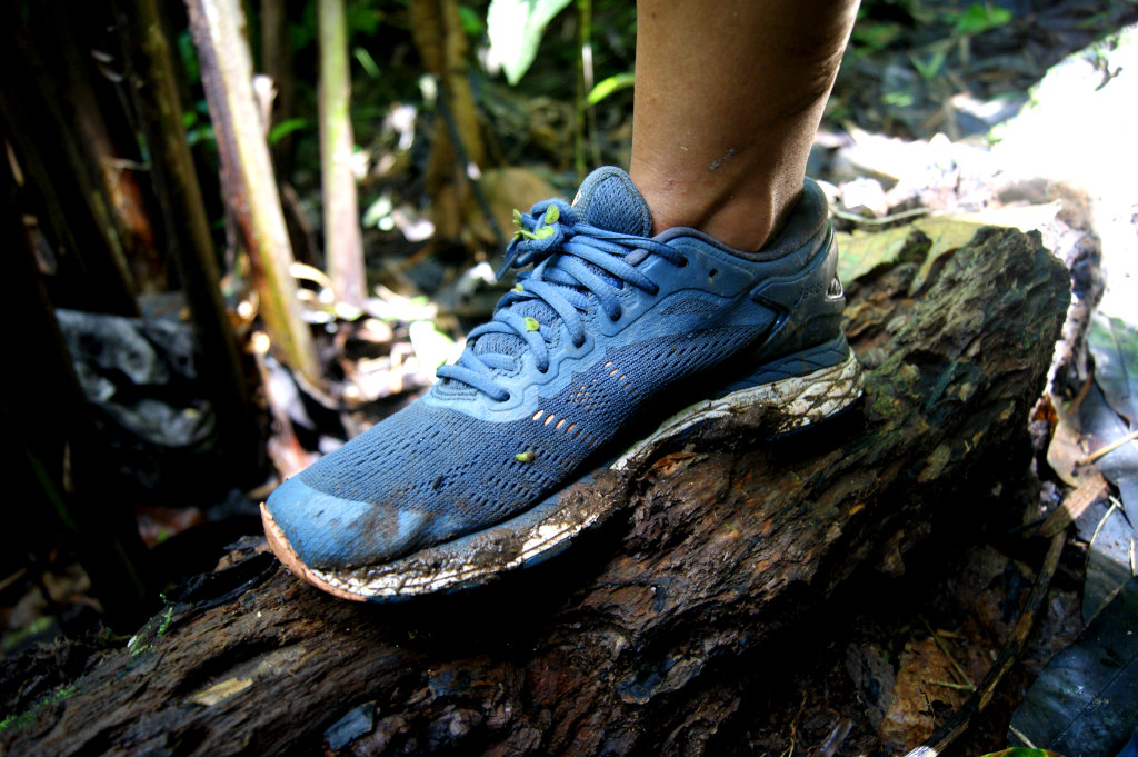 Blue running shoes covered in mud and green little sticky plants