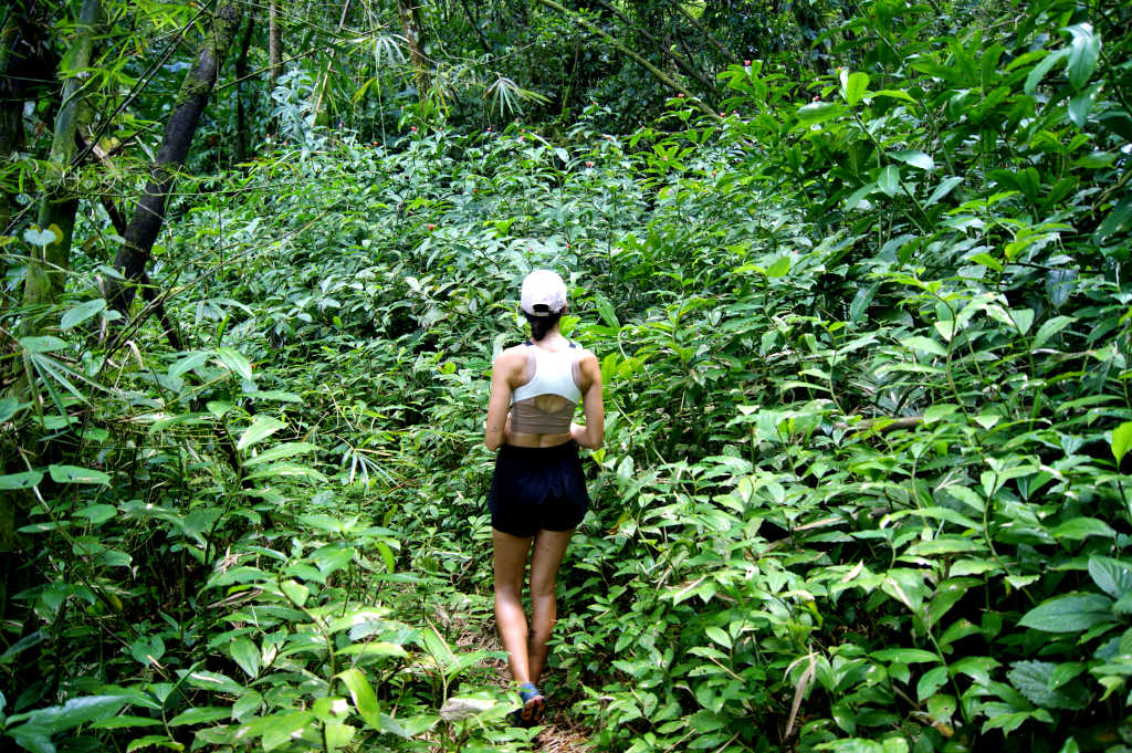 A woman with a pink hat and black running shorts walking through thick jungle on Mt St Catherine Grenada