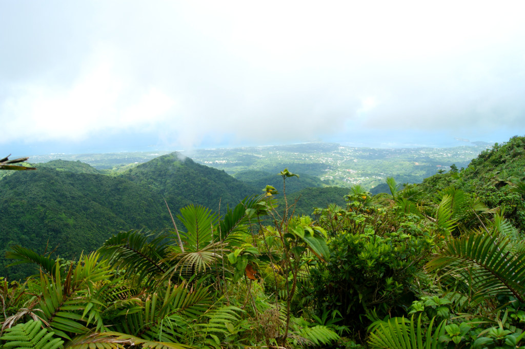 View from the top of Mt St Catherine over Grenada's coast 