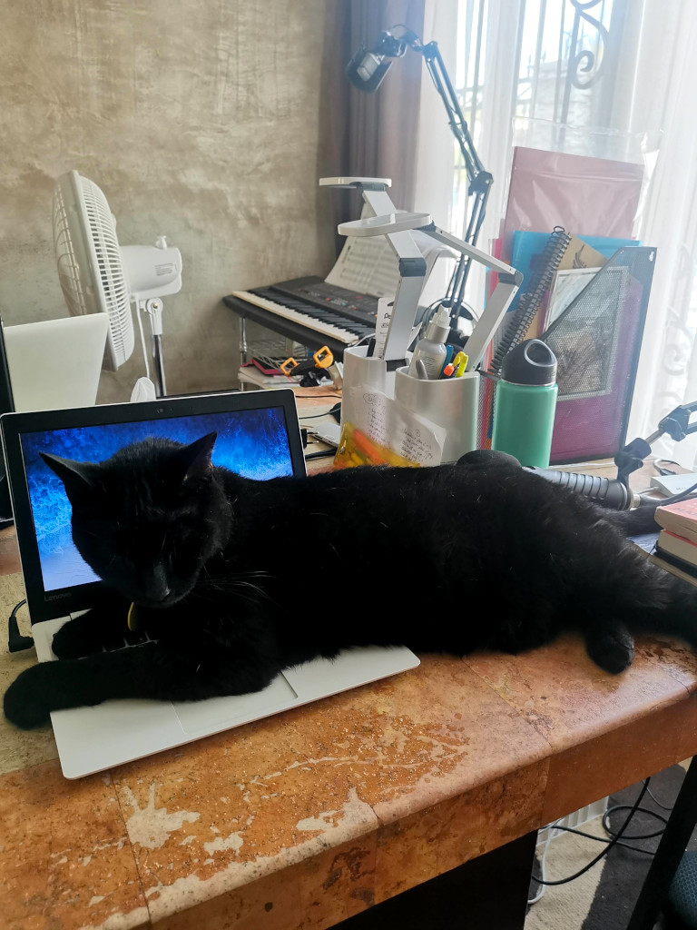 A big black cat lying on laptop while writig a Trusted House Sitters Review