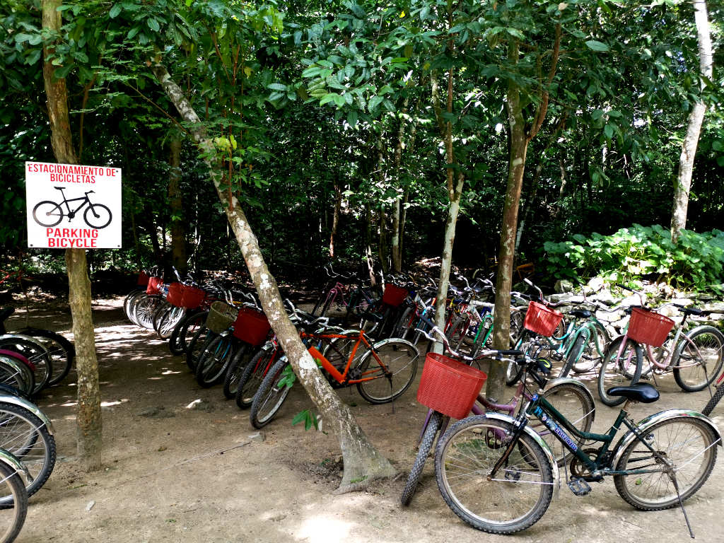 A large group of bikes for hire at Coba Ruins