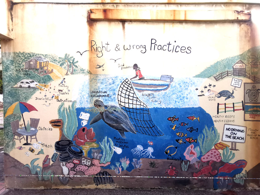 A mural on the wall showing negative practices that affect the turtles Grenada has within its waters
