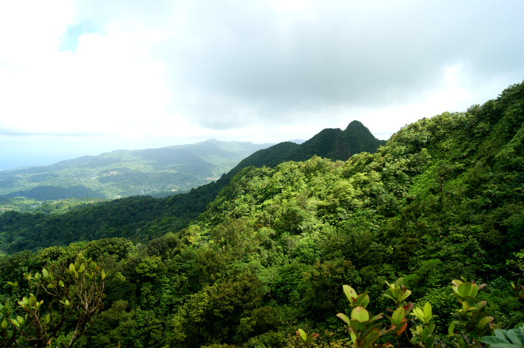 View of some hills from the top of Mount St Catherine Grenada
