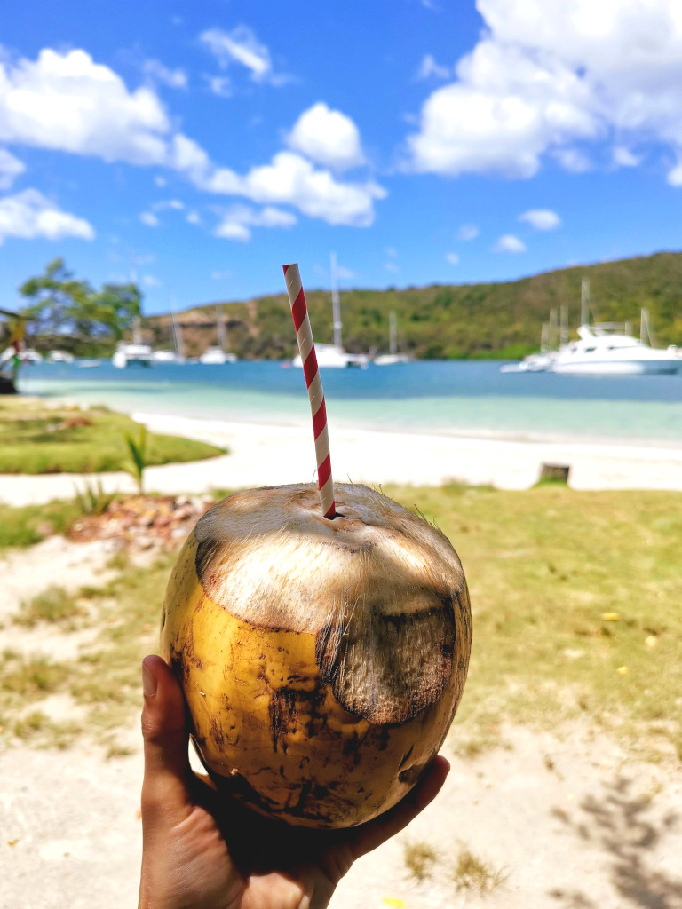 A hand holding a coconut with a straw sticking out the top with a tropical beach and yachts in the background