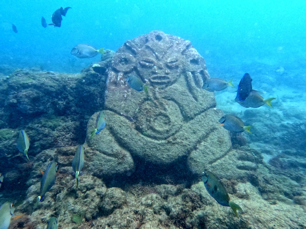 An underwater sculpture with fish swimming around