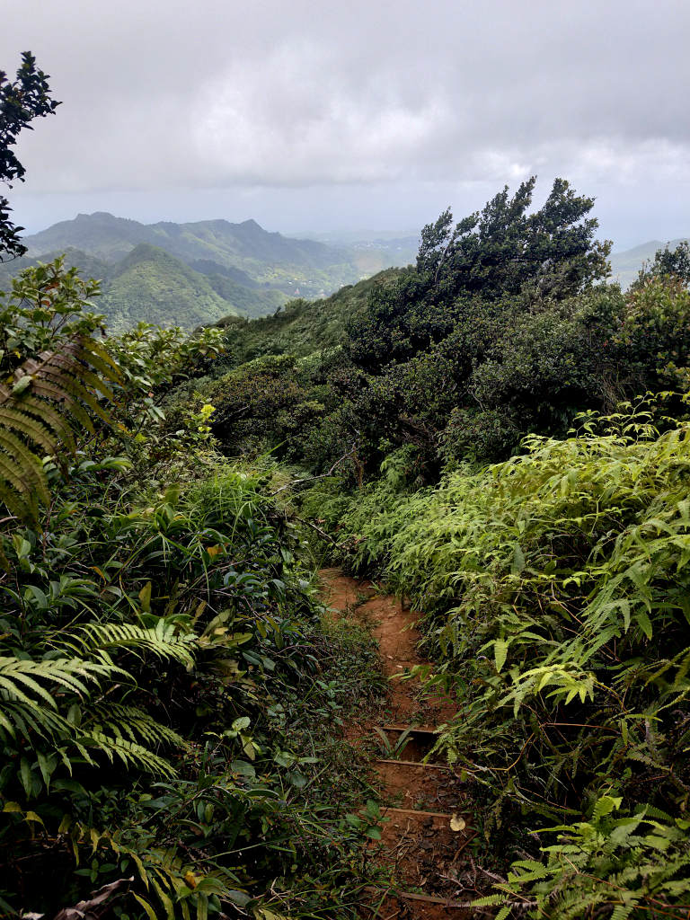 A jungle trail winding through the mountains on Mount Qua Qua