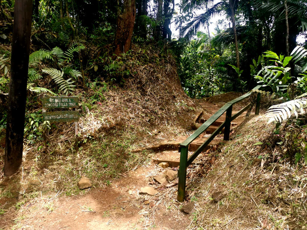 The start of a hiking trail in Grenada showing a work out sign and a rickety wooden hand rail next to a dirt path