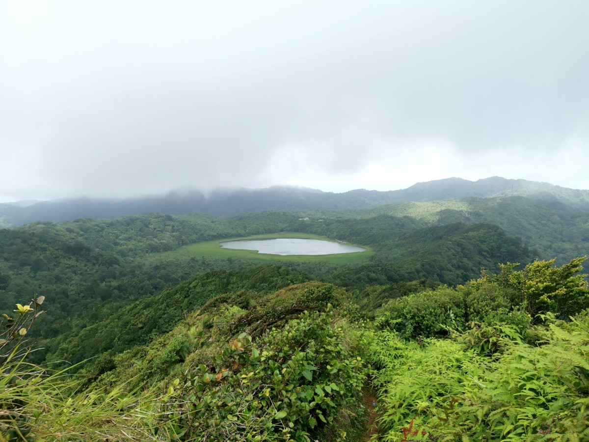 View from Mount Qua Qua Grenada over Grand Etang National Park