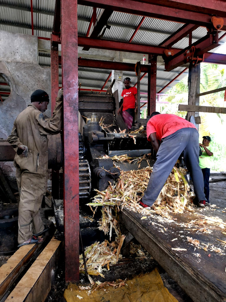 A group of men working at a rum distillery during a tour of the factory
