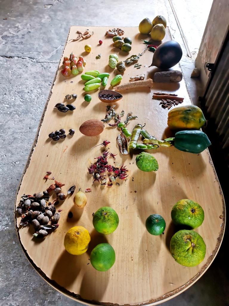 A range of spices and fruits on a display table at Belmont Estate