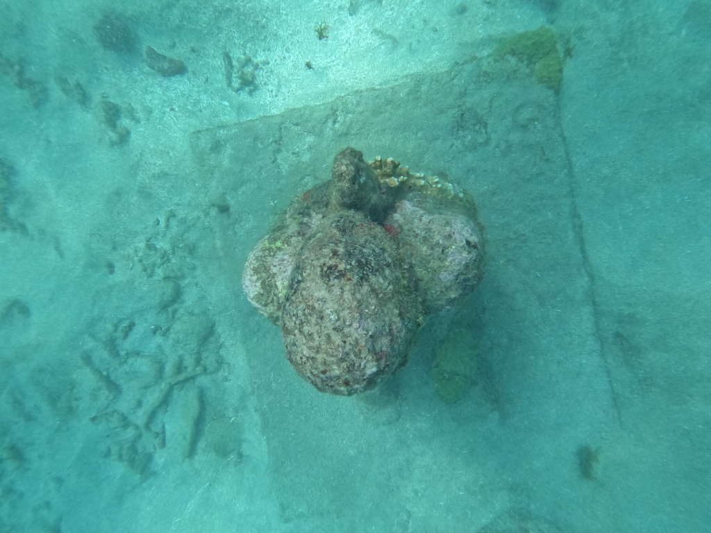 Underwater statue from above