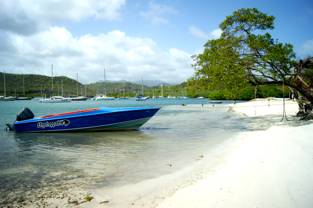 A blue boat in shallow tropical waters with many yachts in the background close to the shore of Hog Island Grenada
