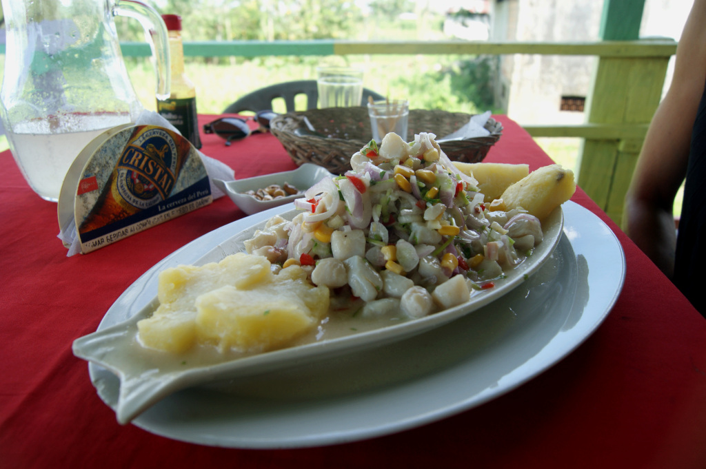 A plate with ceviche in the peruvian amazon