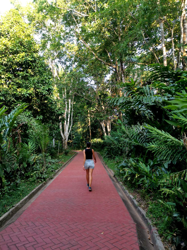 A woman walking along a red brick path through the jungle in a small town in the Amazon