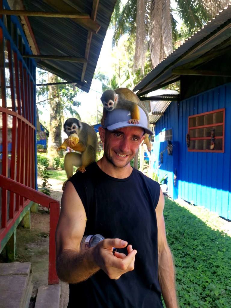 A man with two monkeys on his head and shoulder eating a banana out of his hands in Puerto Nariño, Amazon, Colombia