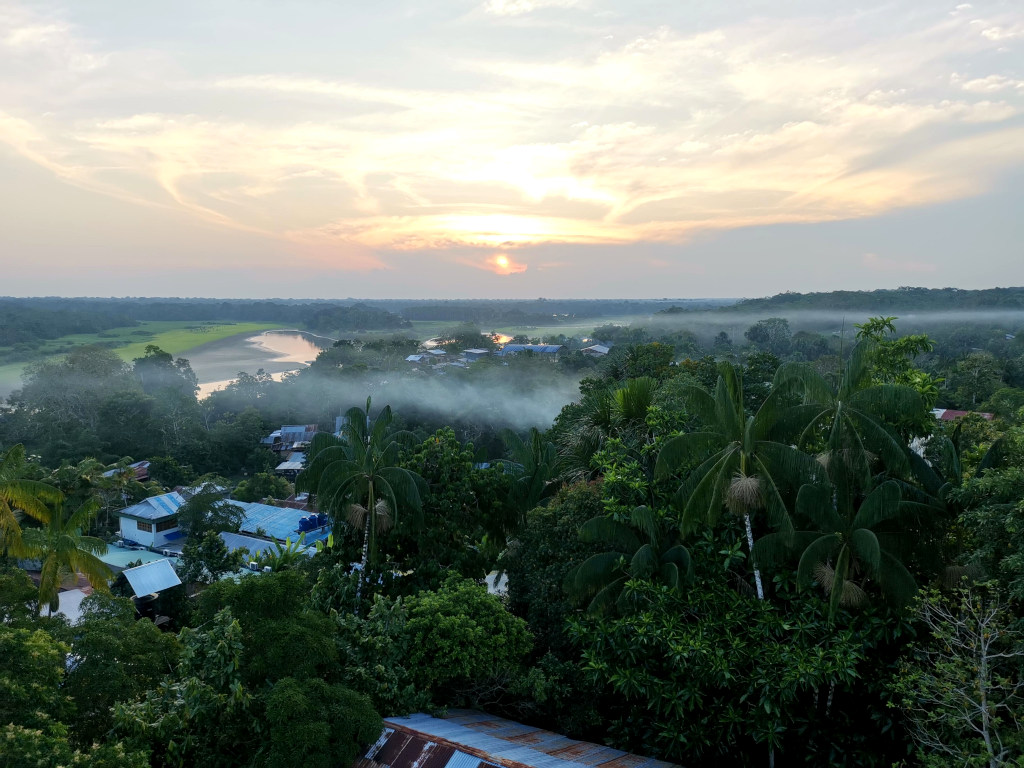 View of some jungle with some mist drifting over the top at sunset