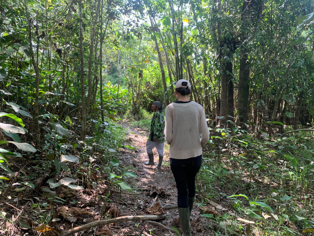 Walking through the jungle close to Puerto Narino, Amazon, Colombia