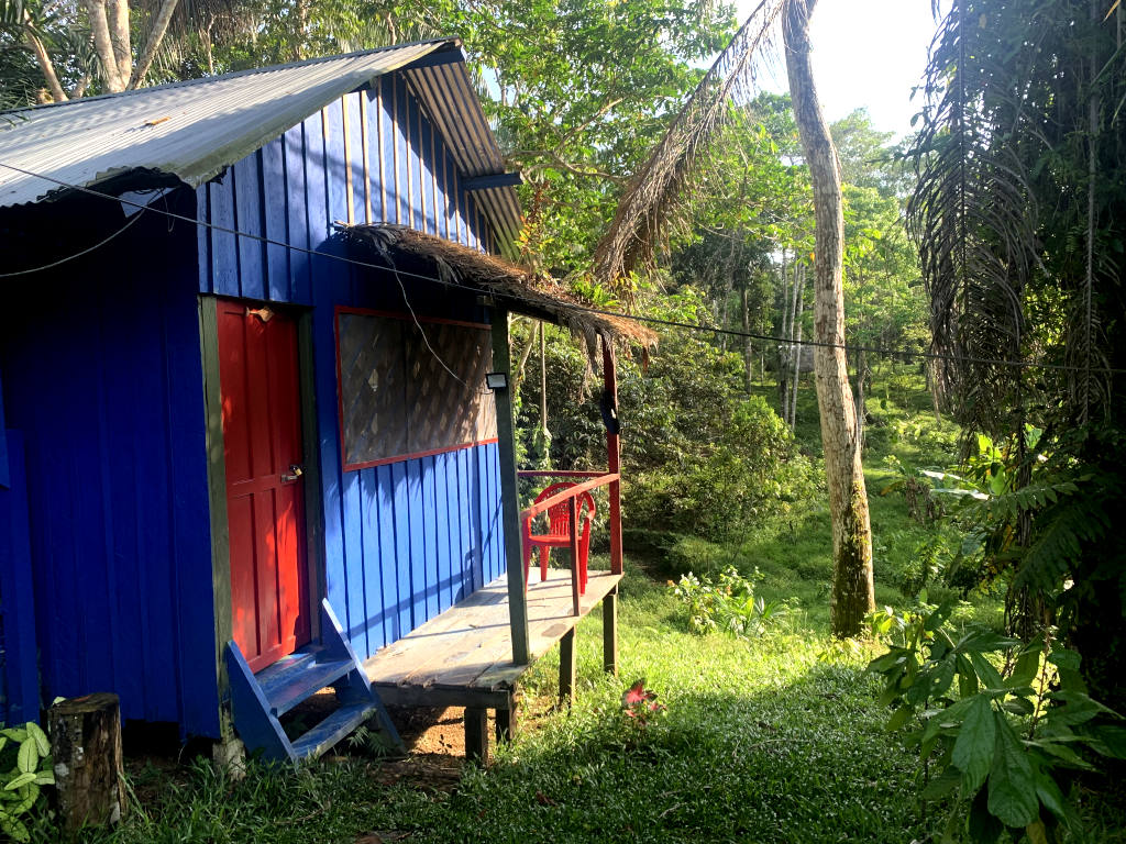 A blue and red wooden cabana with jungle in the background