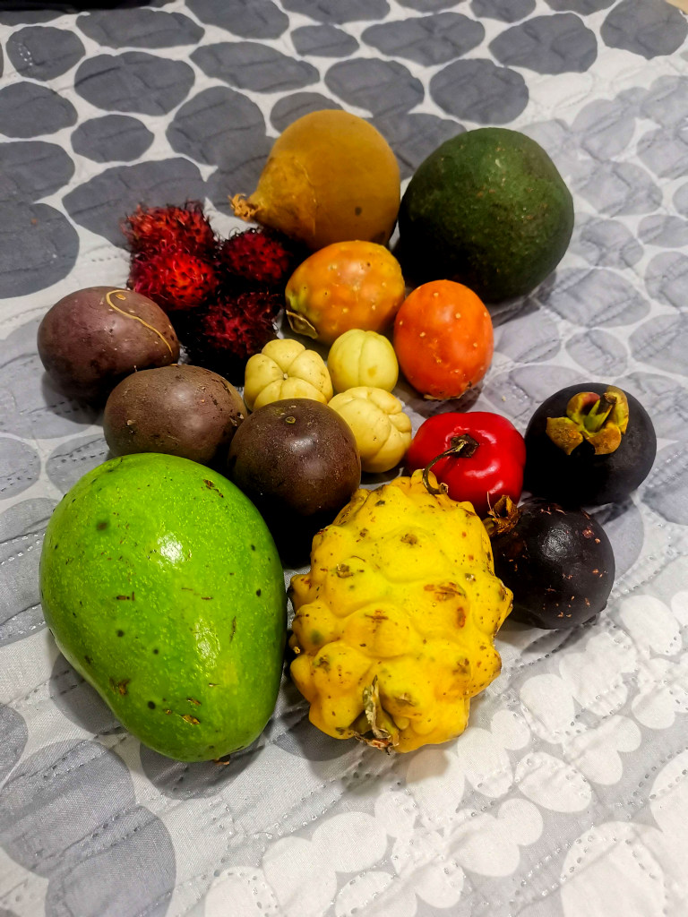 A selection of exotic fruits on top of a blanket