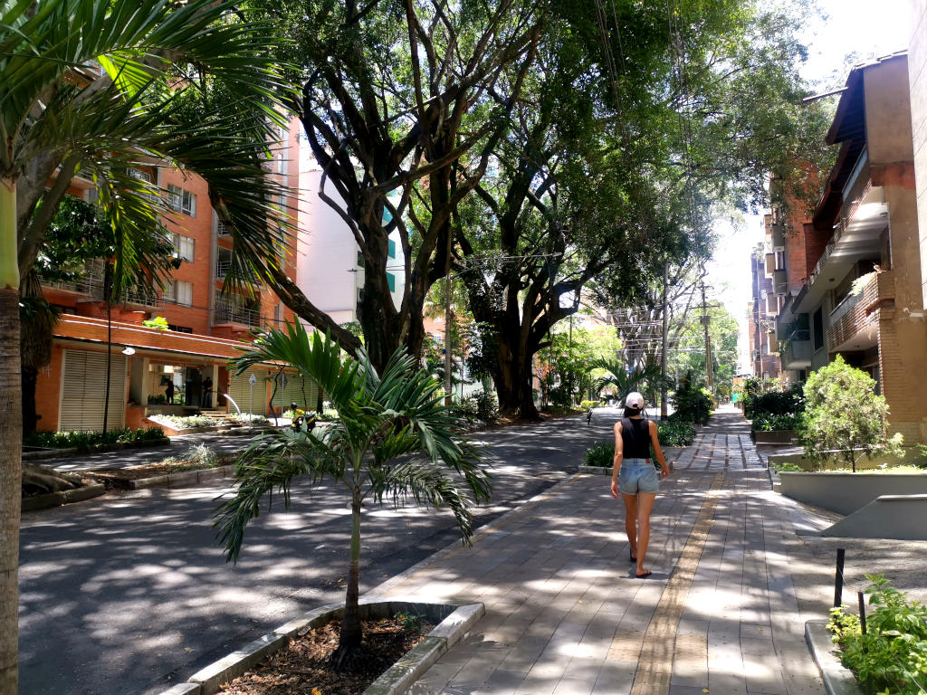 A woman walking down a green shaded streets