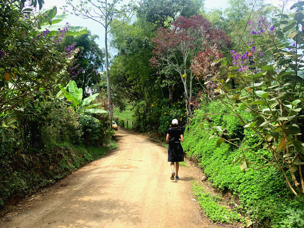 A woman walking down a dirt road in Colombia with flowers around