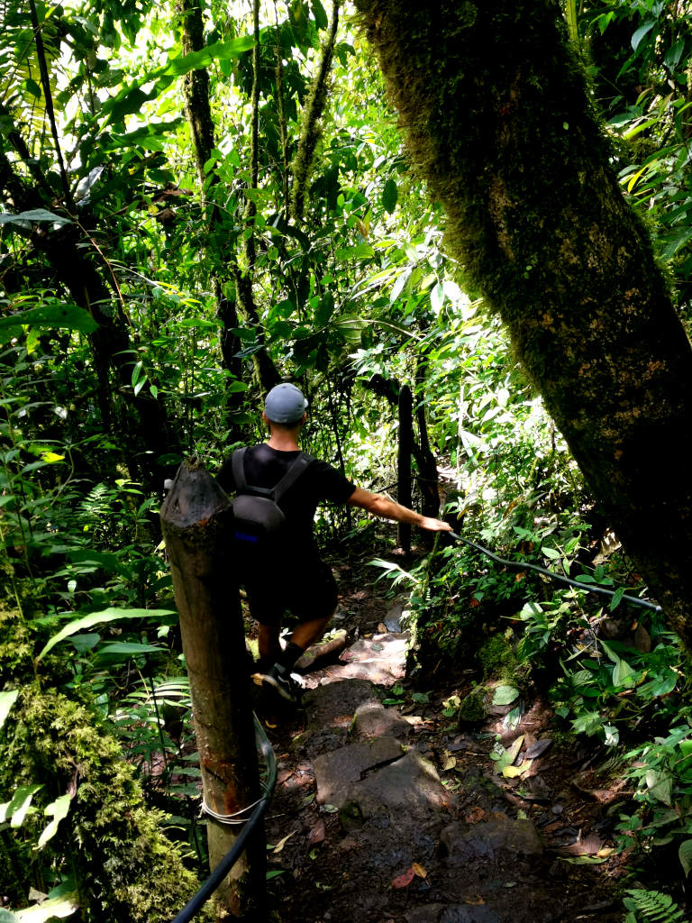A man in a blue hat wearing a black t-shirt walking down some steep stairs in the jungle near Jardin Colombia