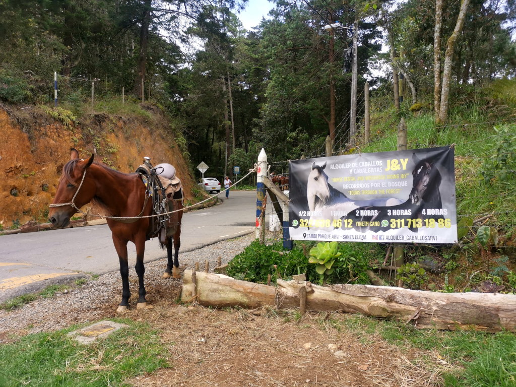 A horse standing next to a poster advertising horse back riding at Parque Arvi