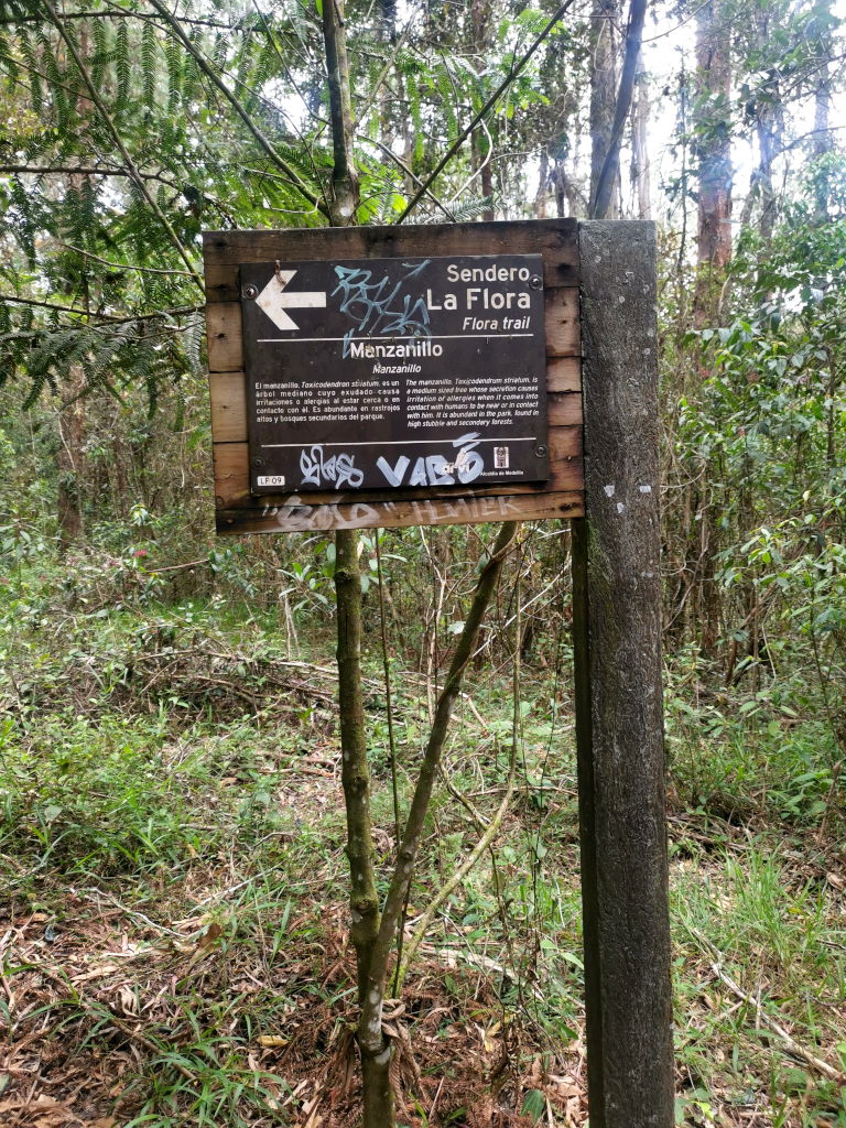 A wooden sign post pointing towards a free trail 