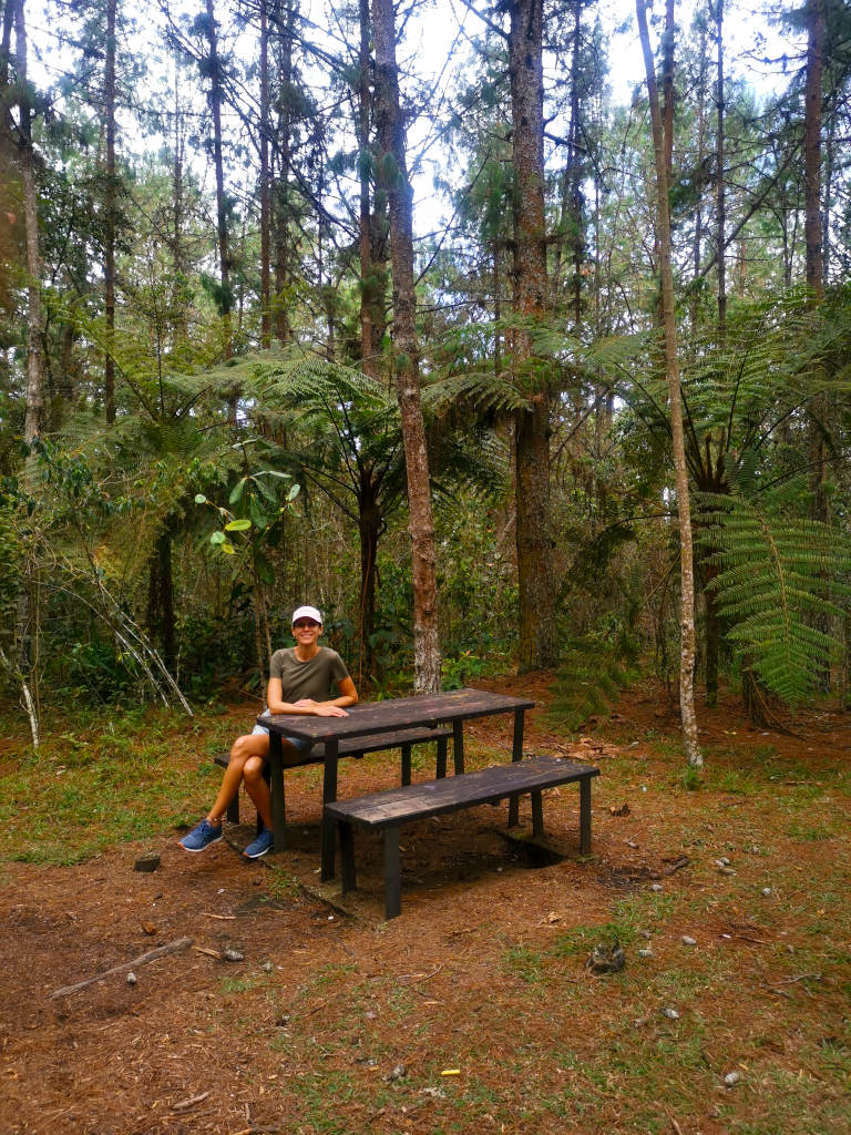 A woman sitting at a picnic table in the forest