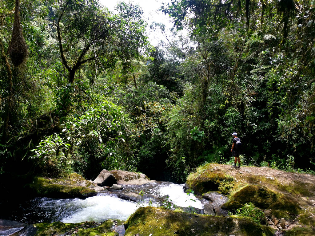 A man in a blue hat dressed in black standing next to a river surrounded by trees in the coffee region of Colombia on the way to Cueva del Esplendor