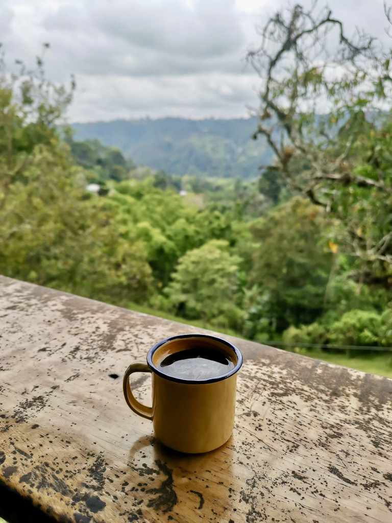A cup of coffee sitting on a wooden board overlooking a green forest at las acacias coffee farm one of the best things to do in Salento Colombia