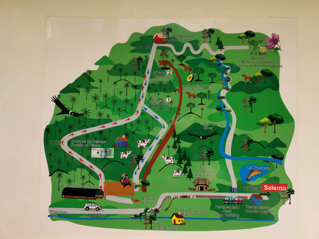 A map showing the route to hike the Cocora Valley one of the best things to do in Salento