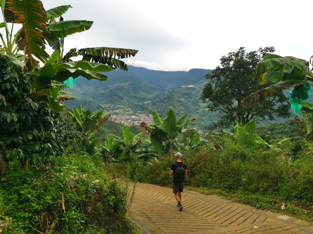 A man in a black shirt and shorts walking between coffee farms on a road in the hills above jardin Colombia after visiting the Cueva del Esplendor waterfall