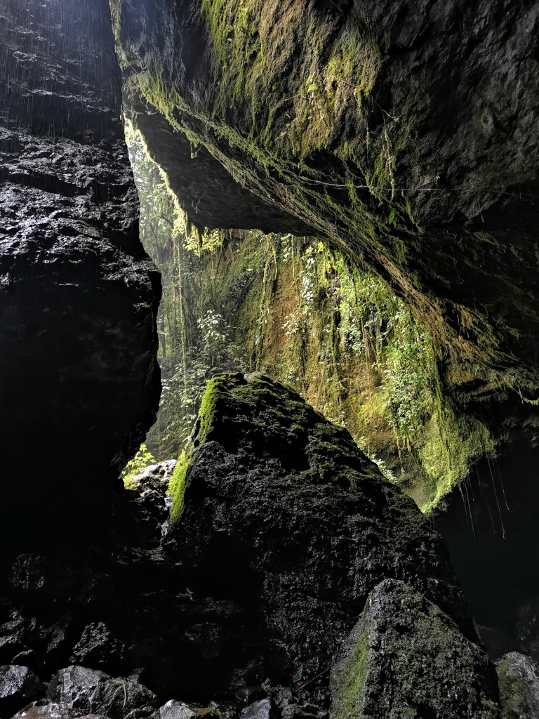 Rock formations at Cueva del Esplendor with moss growing over them