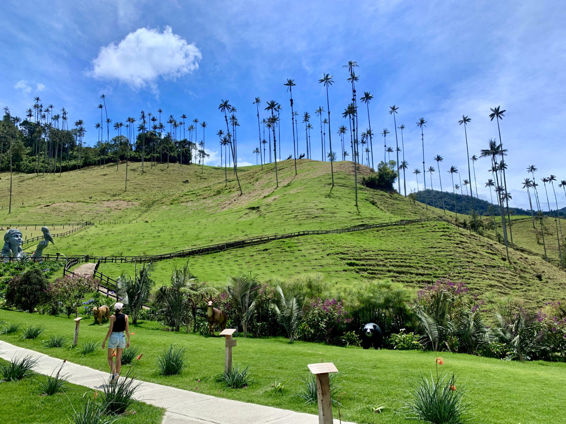 A woman hiking through the Cocora Valley one of the best things to do in Salento Colombia