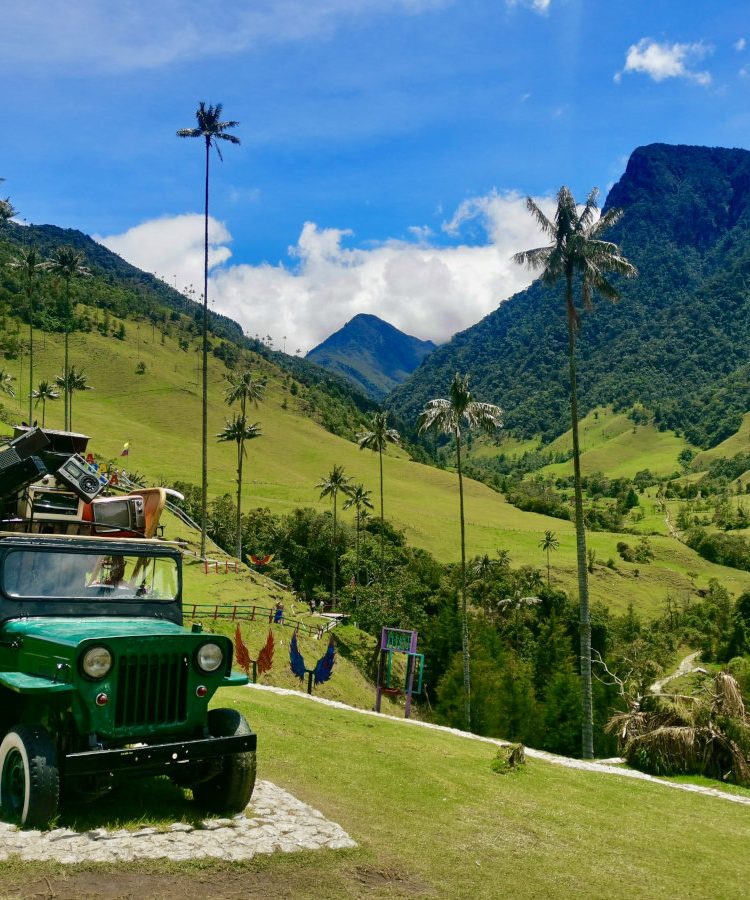 Hiking the Cocora Valley is one of the best things to do in Salento