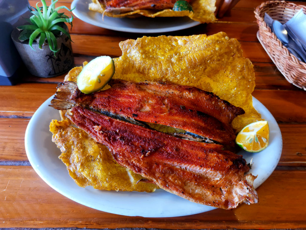 A trout on top of a fried patacon a traditonal colombian meal from salento 