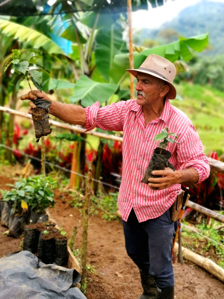 A colombian farmer dressed in a red button down shirt with a cowboy hat on giving a tour of his coffee farm in jardin colombia