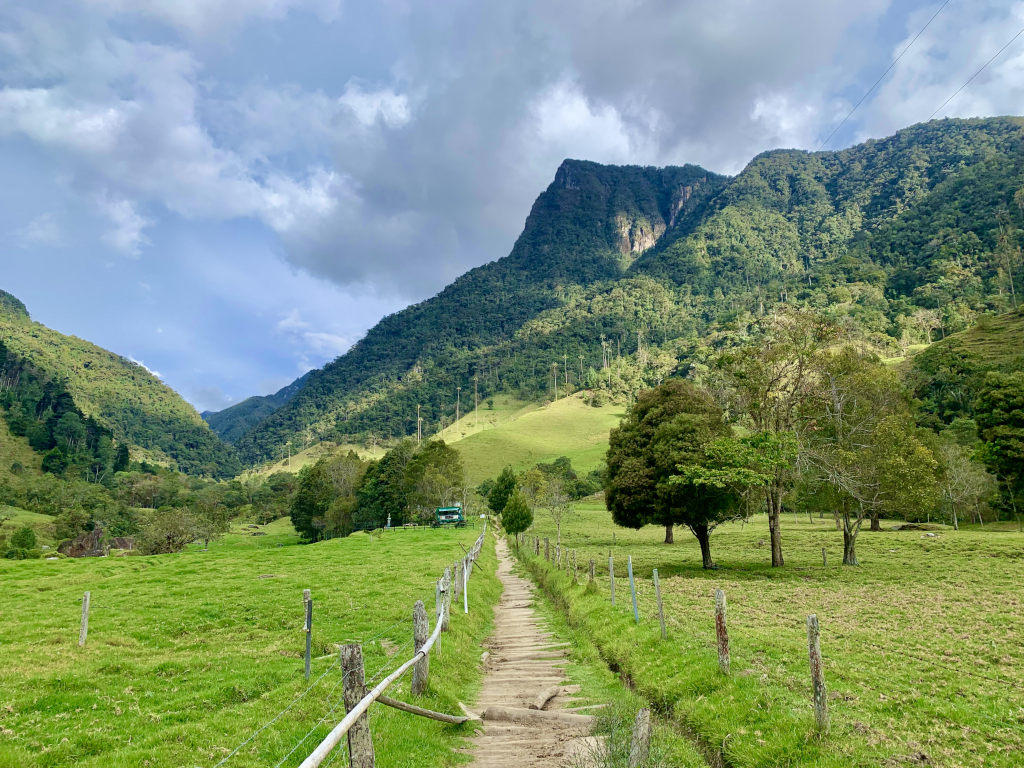 Farmland in the cocora valley near salento colombia