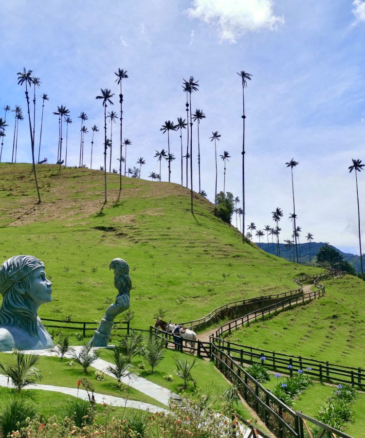 A green hill side covered with very tall wax palm trees and a statue in the foreground at the start of the Cocora Valley hike near Salento Colombia