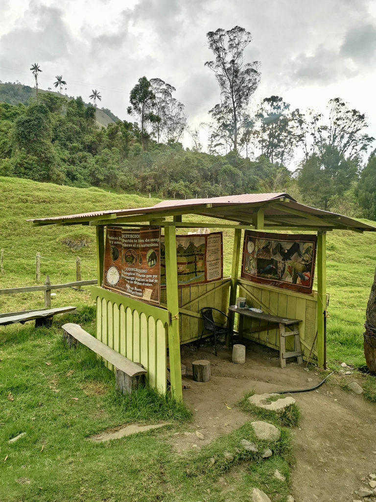 A green wooden hut in a field on a hike near salento colombia