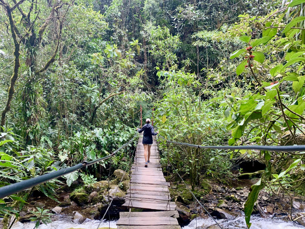 A woman in a rain jacket crossing a wooden suspension bridge on a hike near salento colombia