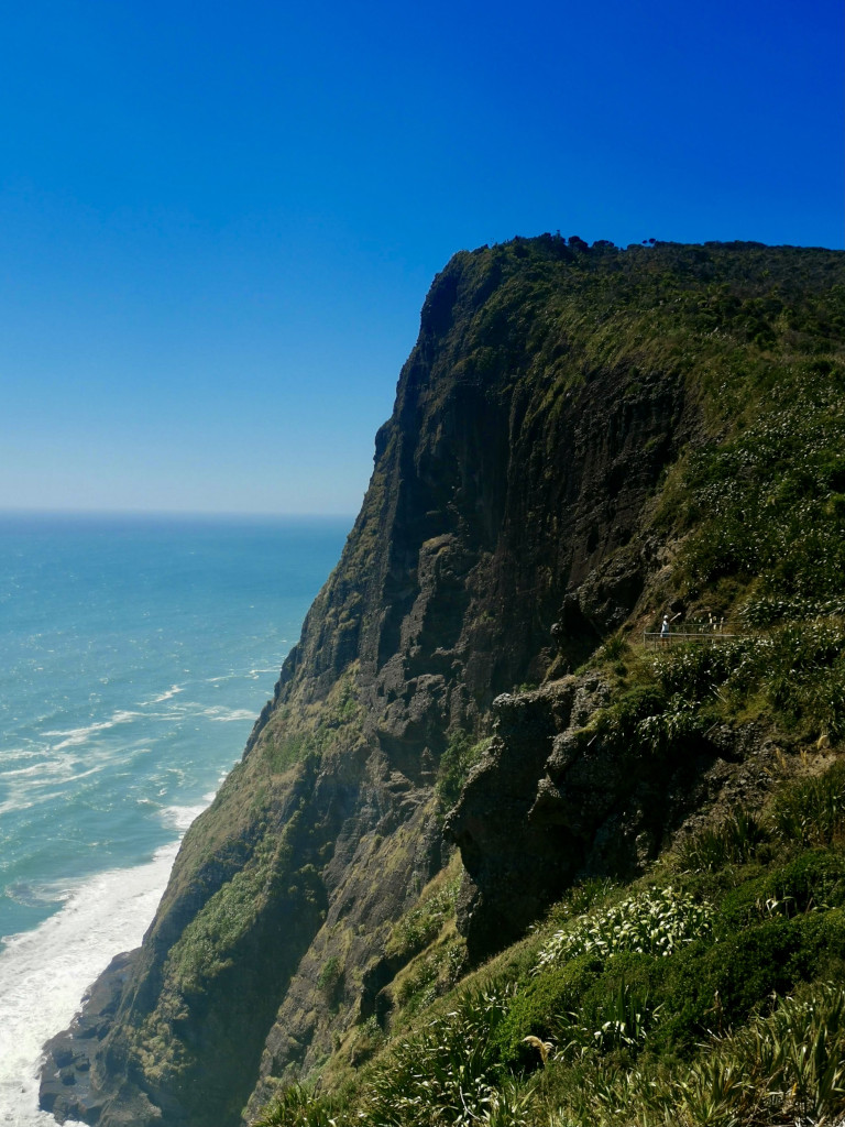 A steep cliff next to an ocean overgrown with grass