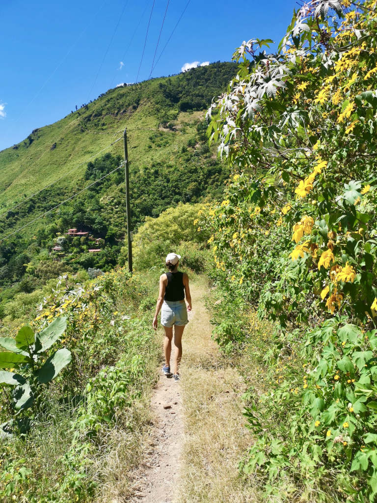 A woman walking along a trail with plants full of yellow flowers