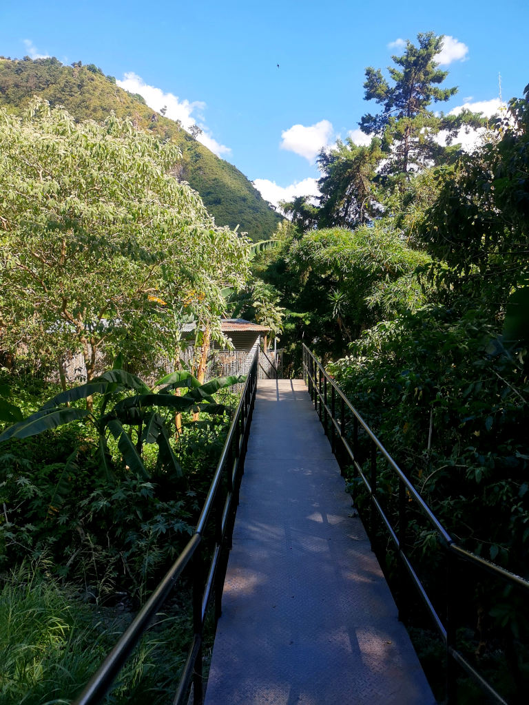 A bridge surrounded by green trees in Jaibalito Guatemala