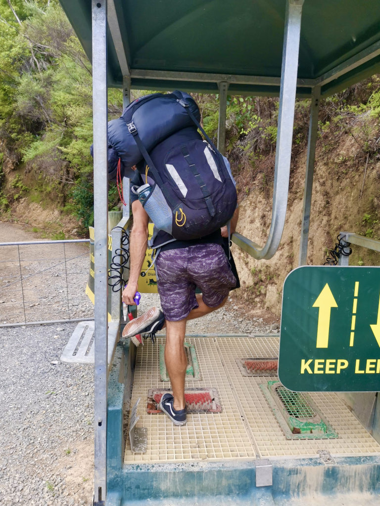 A man with a backpack on washing his feet to prevent Kauri die back disease