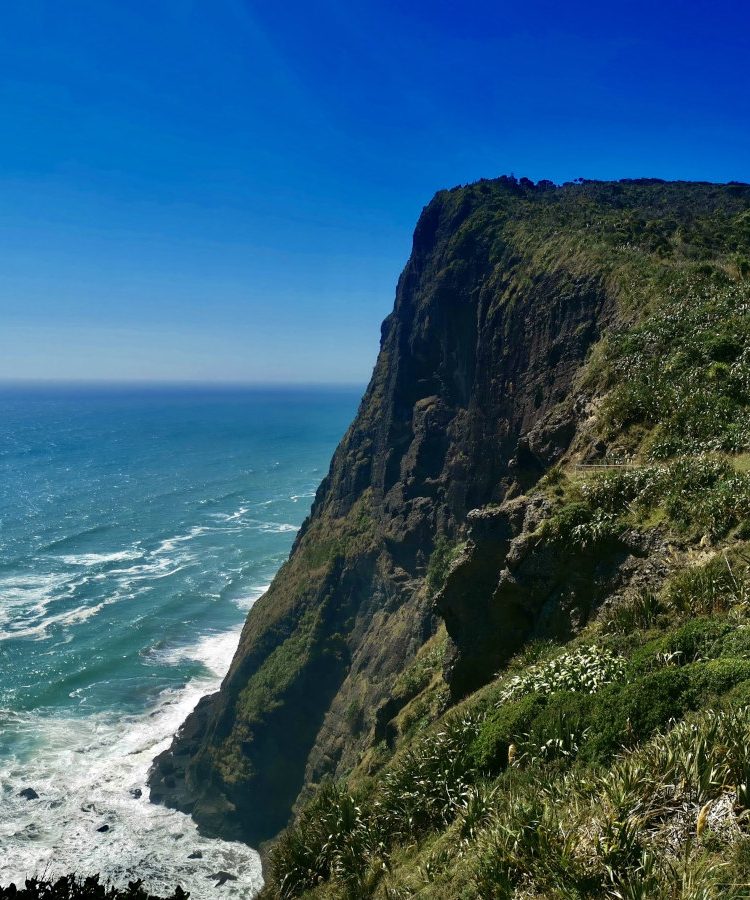 A steep cliff on New Zealand's North Island