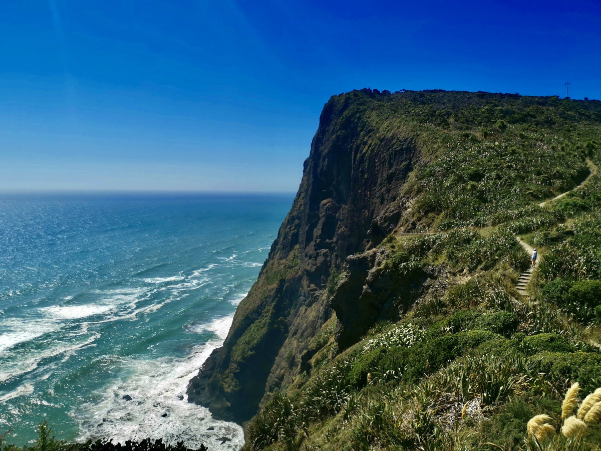 A steep cliff on New Zealand's North Island part of the Mercer Bay Loop Walk