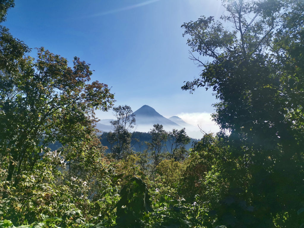 Two volcanoes in the distance shrouded in clouds viewed through a gap in thick forest cover - a great reason to travel from Guatemala City to Quetzaltenango